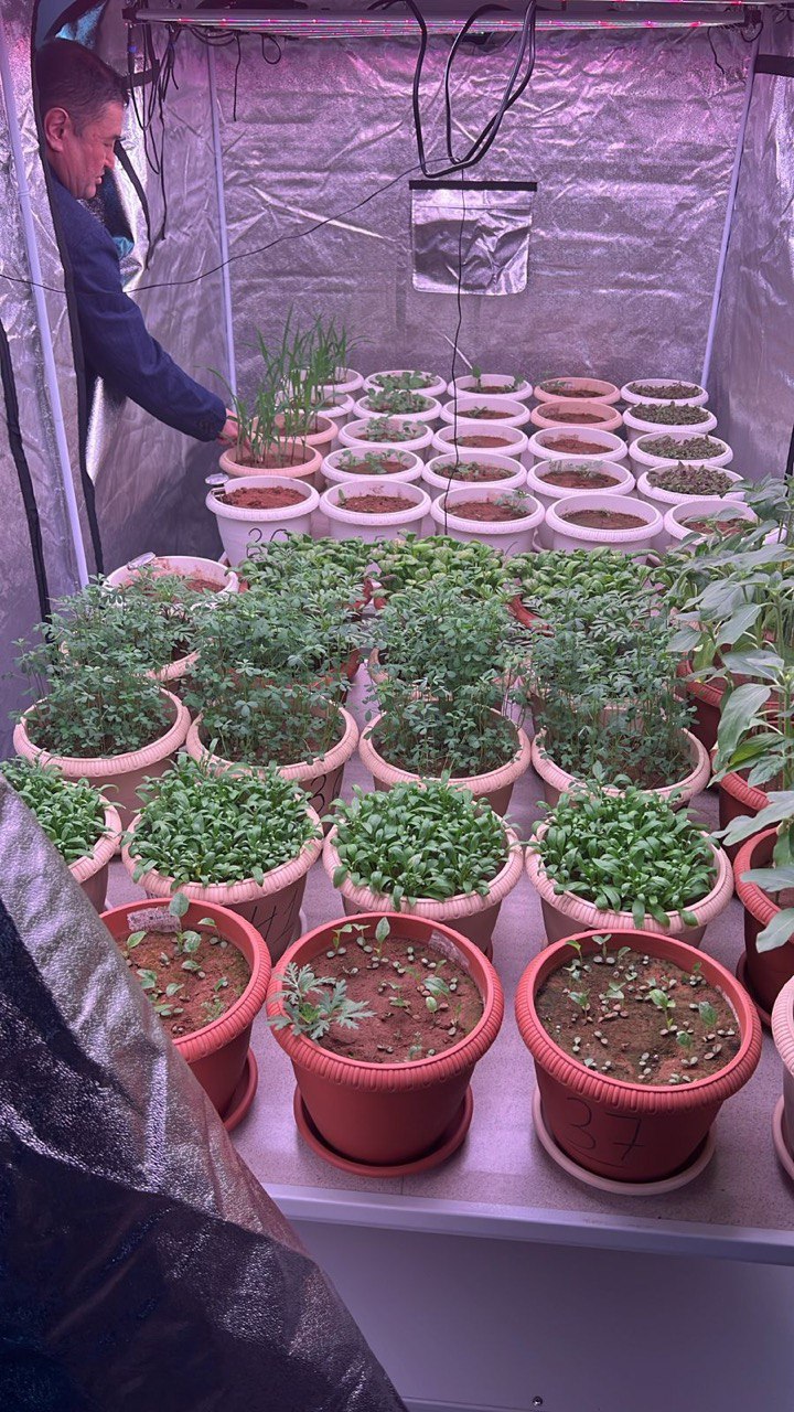 Лаборатория экологического мониторинга